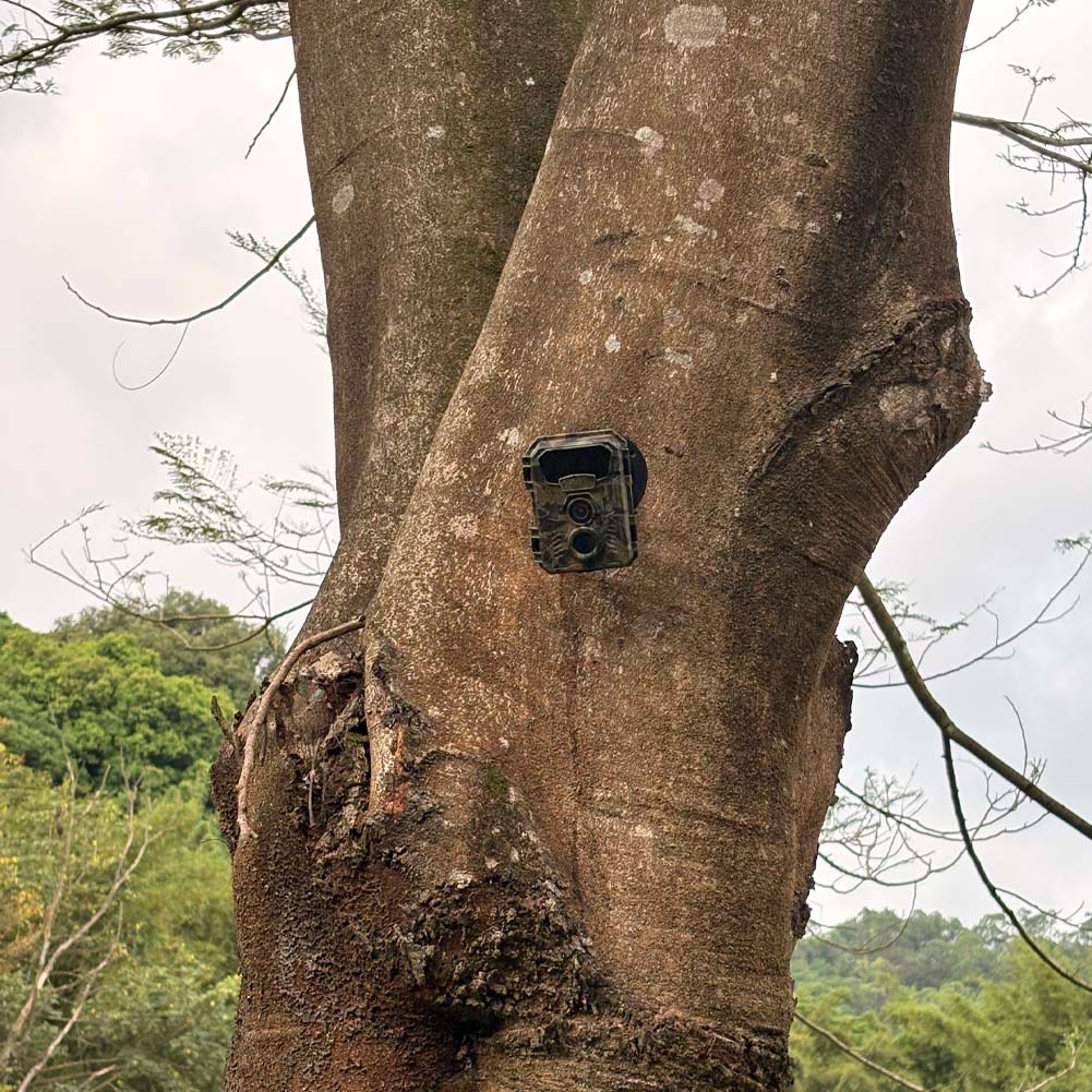 Камера для охоты и наблюдения  – обзор и цена Outdoor Hunting Video Camera