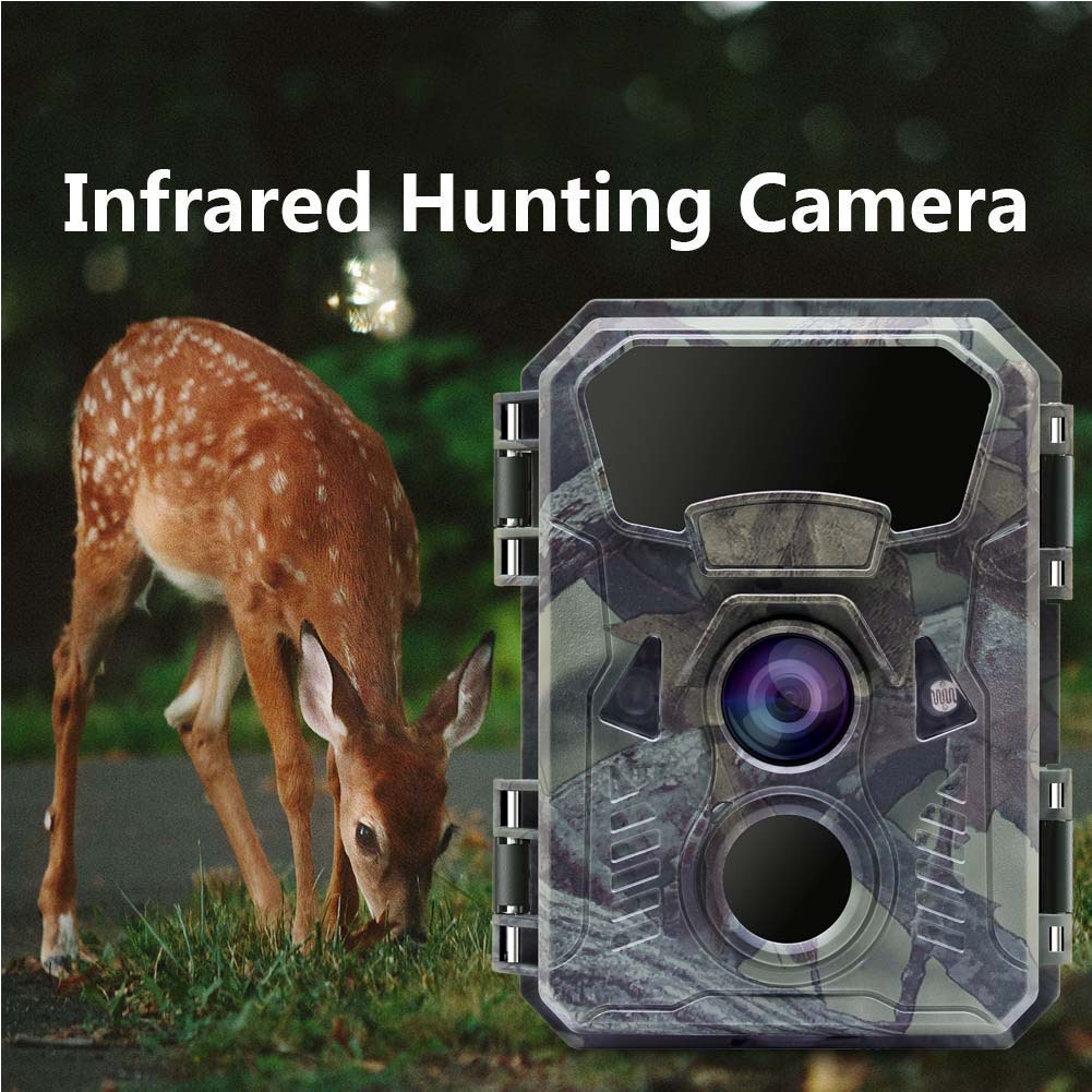 Камера для охоты и наблюдения  – обзор и цена Outdoor Hunting Video Camera