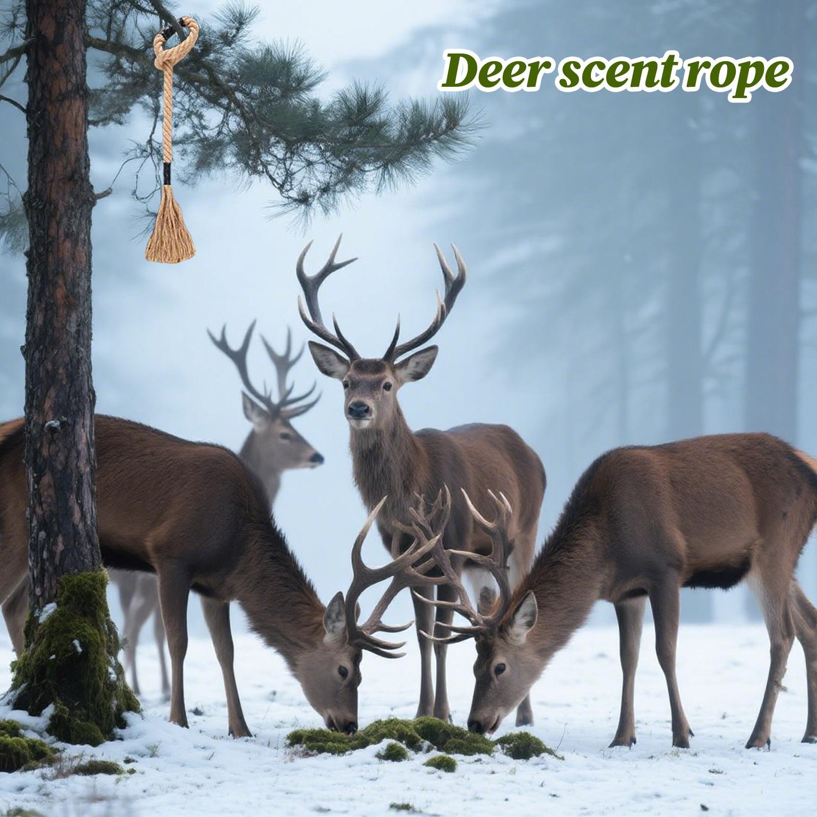 Скребок оленя, эффективный дол – обзор и цена Deer Attractant Scent